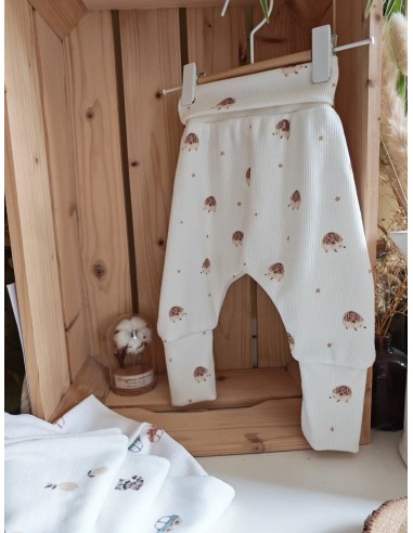 Pantalon évolutif bio - Petits hérissons - côtelé