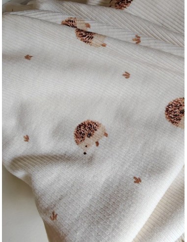 Pantalon évolutif bio - Petits hérissons - côtelé