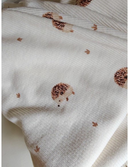 Pantalon évolutif bio - Petits hérissons - côtelé