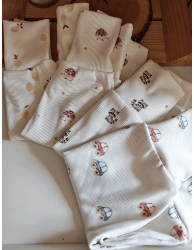 Pantalon évolutif bio - Petits hérissons - côtelé